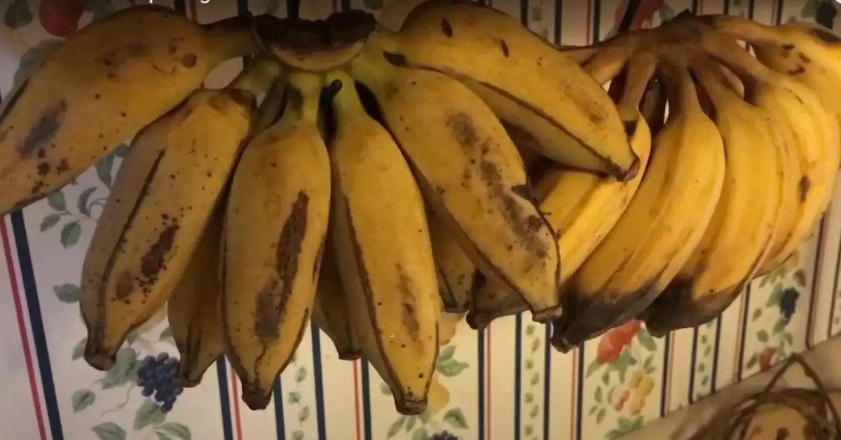 What Is the Benefit of Hanging Bananas